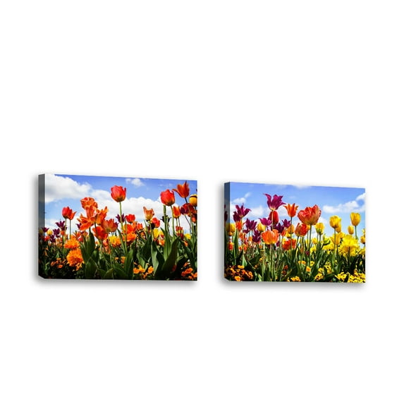 Set of 2 - Tulip Parade II - Contemporary Fine Art Giclee on Canvas Gallery Wrap - wall décor - Art painting - 34 x 23 Inch - Ready to Hang