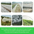 515M Garden Protect Netting Vegetables Crops Plant Mesh Bird Net