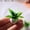 Green, variant on HONMEET 4pcs Miniature Artificial Potted Plants Set for 1:12 Scale Dollhouse, Tiny House Decor, Crafts, and Home Accessories