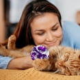 thumbnail image 5 of 20 piezas bola arrugada juguete para gato pelota gatito ejercicio gatito juguete bola de papel, 5 of 5