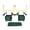 Green, variant on QB54 - The Ultimate Football Yard Game Set, Outdoor Football Toss for Tailgating, Backyard, Beach, Park, Tournaments, Sports Training, Score Touchdowns, Kick Field Goals (Black Game Set)