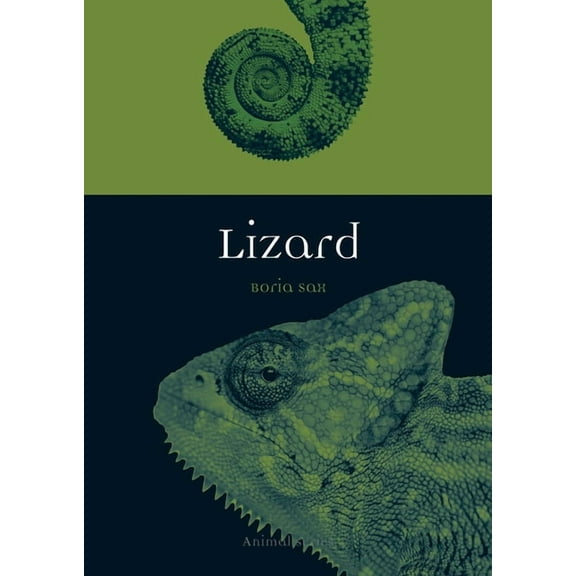 Animal: Lizard (Paperback)