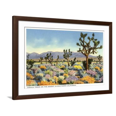 Art.com Joshua Trees in Desert, California Art Print, Brown Frame Wall Art, 44" x 32"