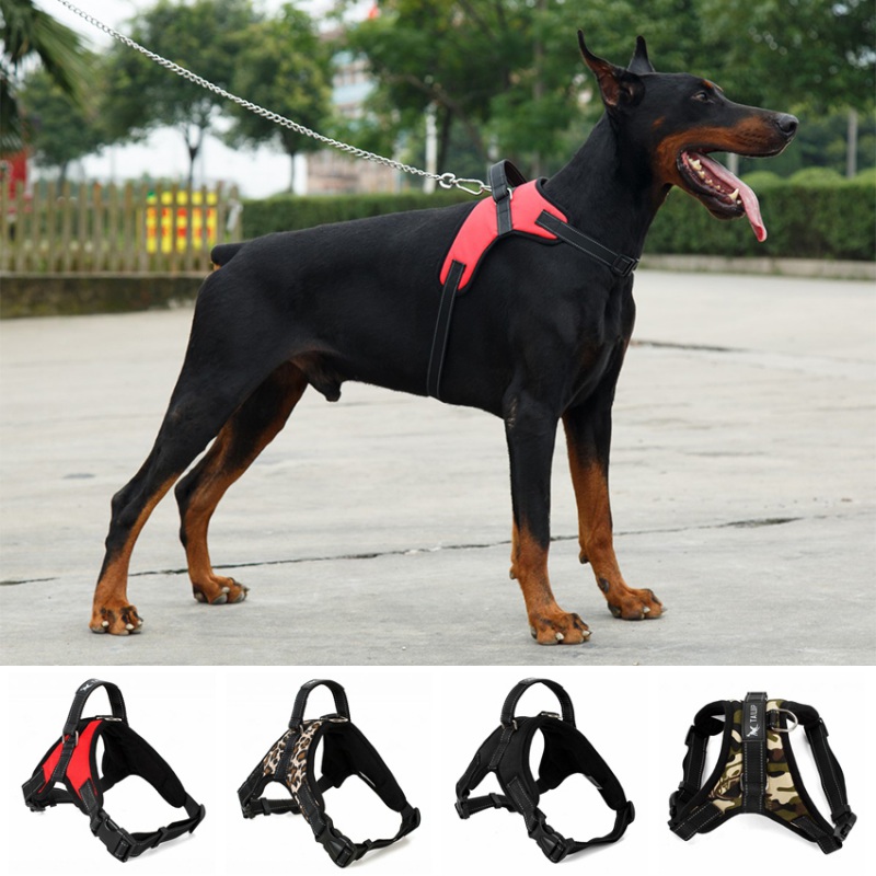 Durable Dog Harness Medium and Large Dogs Training Harness Explosion