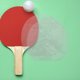 thumbnail image 4 of 10 láminas protectoras transparentes para raquetas de tenis de mesa, láminas adhesivas, láminas protectoras para palas de ping pong, película protectora, accesorio para raquetas de tenis de mesa., 4 of 5