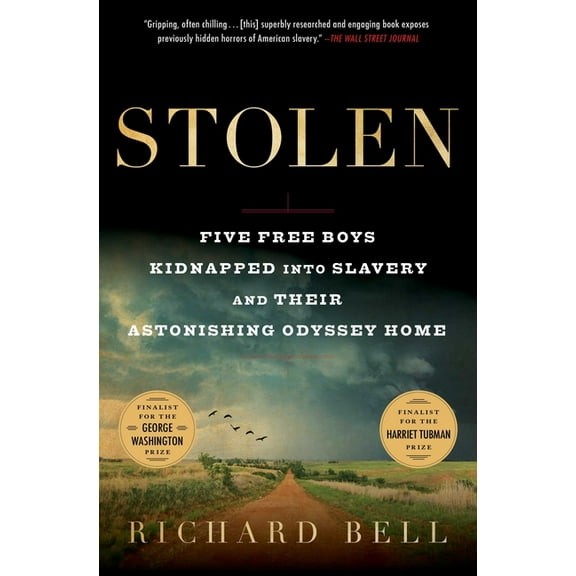 A True Story about Slavery in America Stolen: Five Free Boys Kidnapped Into Slavery and Their Astonishing Odyssey Home, (Paperback)