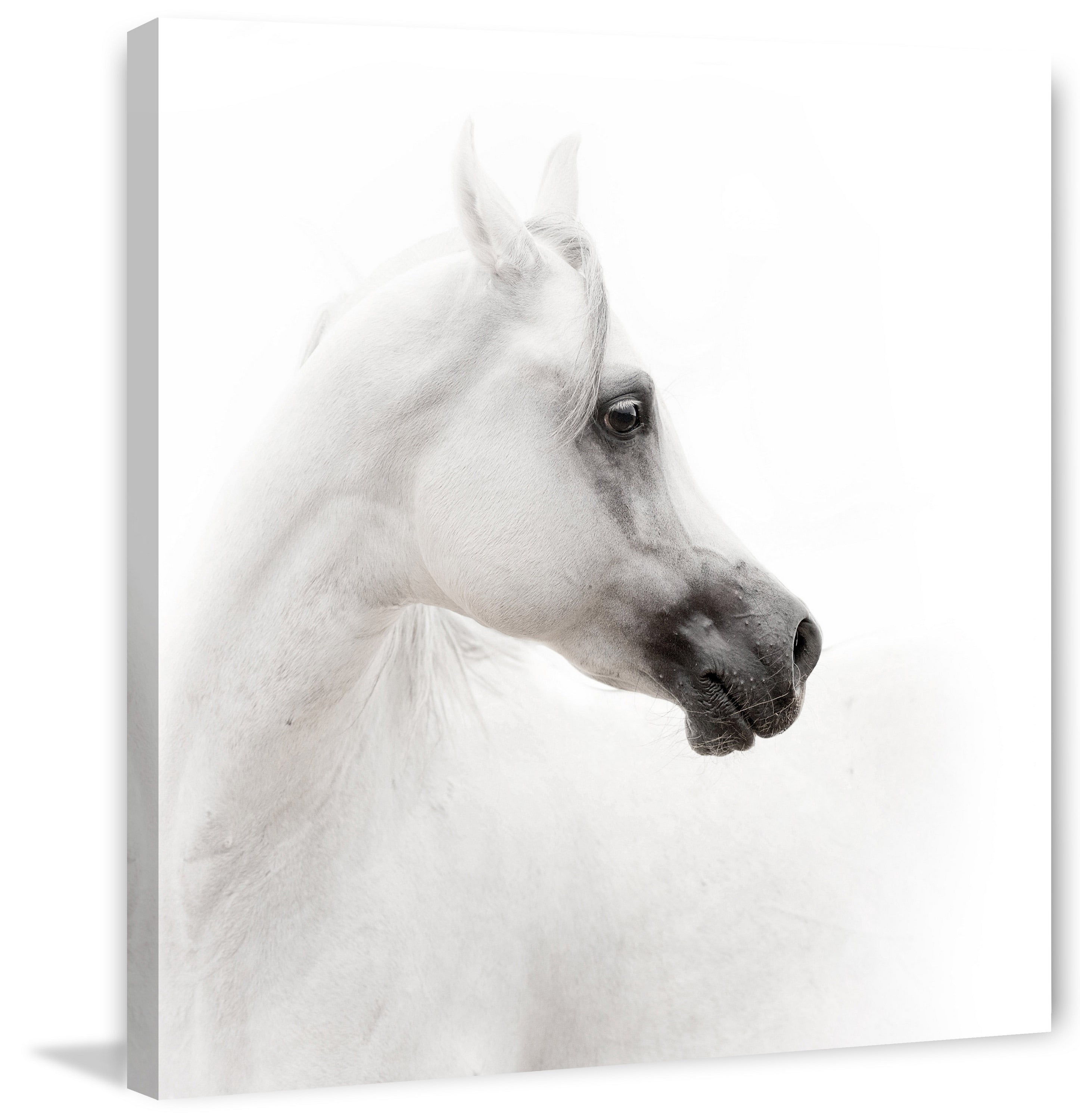 "Shaded Muzzle" Painting Print on Wrapped Canvas