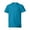 Teal, variant on Hanes Youth EcoSmart Short Sleeve Tee (Little Boys & Big Boys)