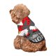 thumbnail image 5 of Balery Chillin with My Gonme Sudadera con Capucha para Perros Pequeños – Ropa para Mascotas, Disfraz para Perros y Gatos, Ideal para Fiestas y Cosplay-XX-Large, 5 of 7