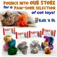 thumbnail image 4 of Kats'N Us Shake'N Squeak Parrot Cat Toy Bouncy Cat Teaser (Black Color), 4 of 4