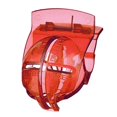 thumbnail image 2 of LOVIVER 2xGolf Ball Line Liner Marker Stencil Alignment Tool Marking Sports Red, 2 of 8