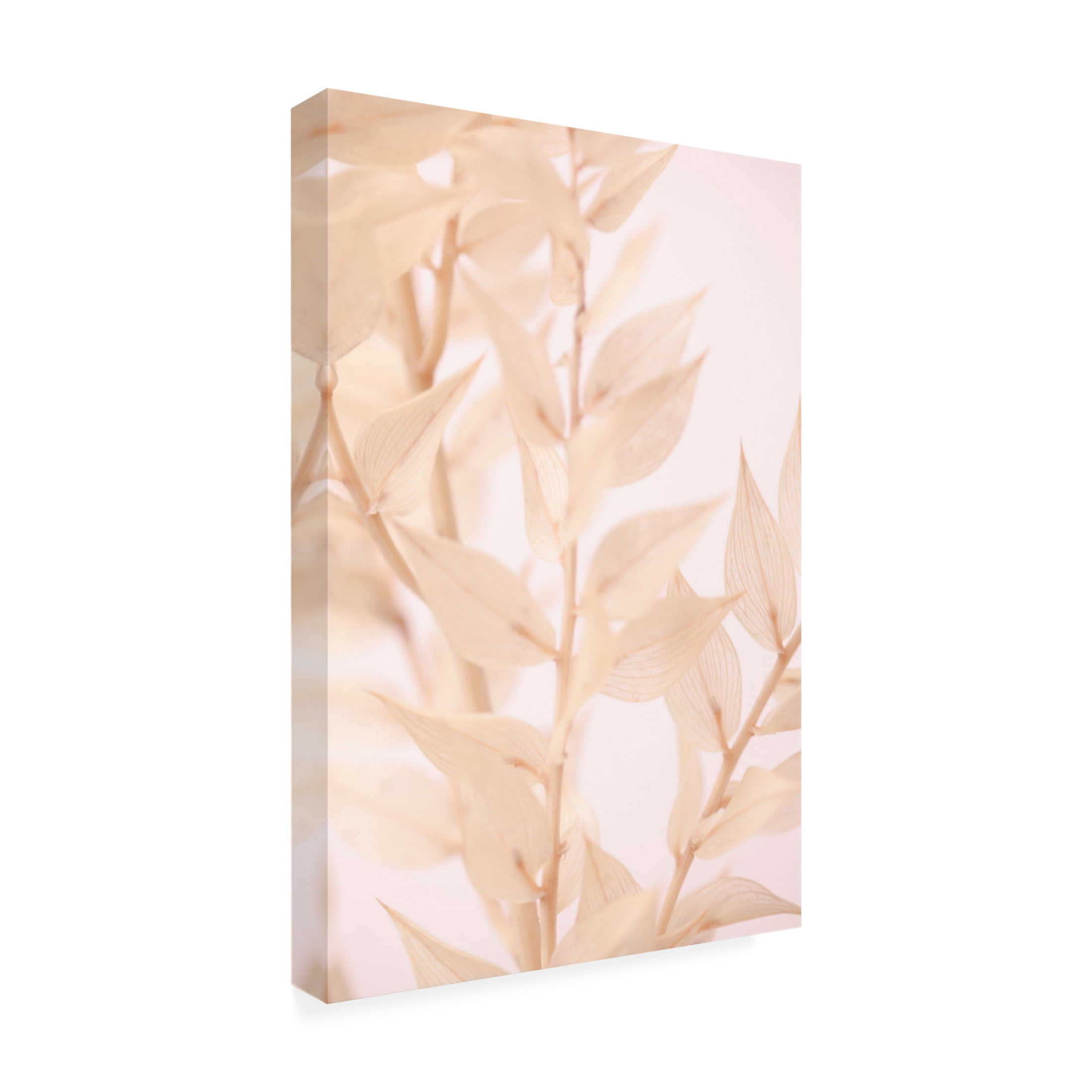Trademark Fine Art Pictufy Studio Untitled Canvas Wall Art