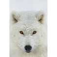 thumbnail image 2 of Arctic wolf  portrait; Montebello  Quebec  Canada Poster Print, 2 of 2