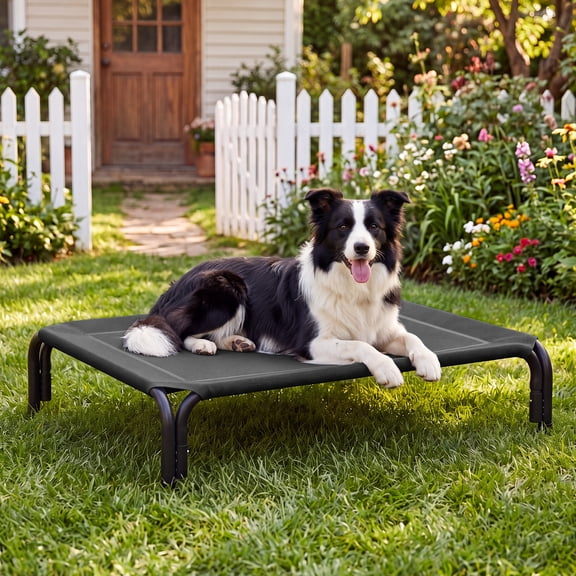 Cooling Elevated Dog Bed Raised Outdoor Dog Cot for Large Dogs, No-Tool Assembly Washable Mesh, 43"x32" Black