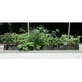 thumbnail image 3 of Smart Pot Big Bag Raised Bed Long, 12 ft, 3 of 3
