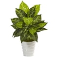 thumbnail image 1 of Nearly Natural 6955 Diefenbachia en Céramique Tourbillon, 1 of 2