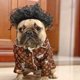 thumbnail image 1 of Peluca divertida de gato y perro, disfraz de Halloween, fiesta de Navidad, tocado para cosplay de Nochebuena (pelo negro rizado), 1 of 5