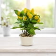 thumbnail image 4 of Yuedong Flower Pot Home Decoration Simulation Lemon Arrangement Shooting Yellow 15-40cm Injection Molded Stem Artificial Plant, 4 of 8