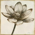 thumbnail image 2 of Pinto, Patricia 15x15 Gold Ornate Wood Framed with Double Matting Museum Art Print Titled - Sepia Lotus II, 2 of 4