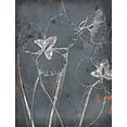 thumbnail image 2 of Grey, Jace 15x18 Gold Ornate Wood Framed with Double Matting Museum Art Print Titled - Cool Fall Flowers, 2 of 4