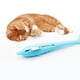 thumbnail image 4 of ¡Campaña con descuento!Cepillo de dientes con forma de pez gato con hierba gatera, palo Molar de silicona, juguetes con hierba gatera, juguete de limpieza de dientes para gatos y gatitos, 4 of 4