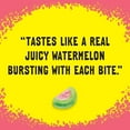 thumbnail image 5 of Sour Patch Kids Peg Bags (Pack of 3) Soft and Chewy Candy bundled by SUPERDEALS with Mystery Gift (8 oz, Watermelon), 5 of 6
