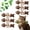 02, variant on 6Pcs Catnip and Silvervine Chew, Fish Bone Cat Dental Chew Toy – Natural Wooden Teeth Cleaning Stick for Teething, Boredom Relief & Daily Enrichment, Ideal for Cat Owners (01)
