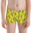 thumbnail image 5 of Yiaed Corn 1 Print Boys' Boxer Briefs Cotton Casual Stretch Comfort Boys Boxers - Kids Boxer Briefs Underwear for Boys (6-18)-XX-Small, 5 of 5
