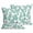 Aqua, variant on Throw Pillow Covers 18x18 Inch Set of 2 Black Rose Decorative Pillows Cushion Case Soft Square Pillowcases Flower Grey Throw Pillows for Couch Sofa Bed Chair Home Decor