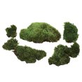 thumbnail image 2 of Vickerman Premium Green Mood Moss - 2.75 lbs/Bx, 2 of 5
