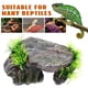 thumbnail image 5 of Plataforma para tomar el sol, cueva para reptiles, escondite para reptiles, cueva para reptiles, escondite para dragones barbudos, escondite para tortugas, hábitat para reptiles., 5 of 8