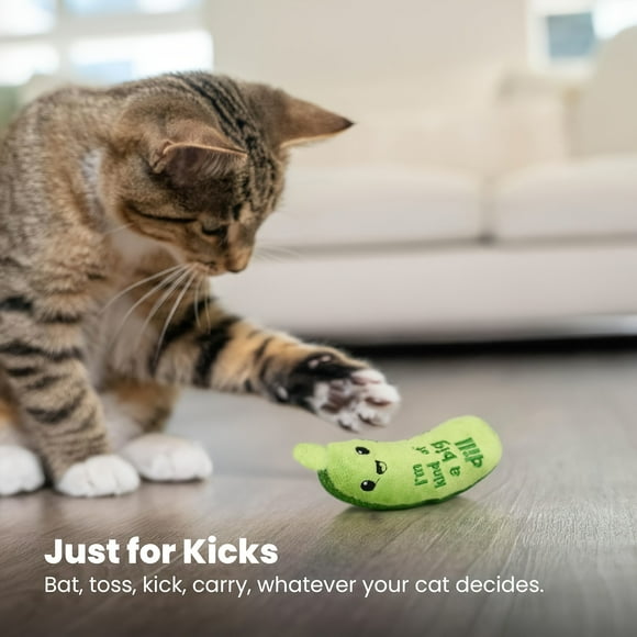 Crunchy Pickle Kicker Cat Toy - Interactive Plush Dental Health Chew Toy with Crinkle Sounds for All Breeds