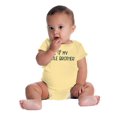 thumbnail image 4 of I Love My Little Brother Big Sibling Romper Boys or Girls Infant Baby Brisco Brands 12M, 4 of 6