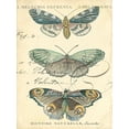 thumbnail image 2 of Zarris, Chariklia 25x32 Gold Ornate Wood Framed with Double Matting Museum Art Print Titled - Custom Butterfly Ephemera II (GC), 2 of 4
