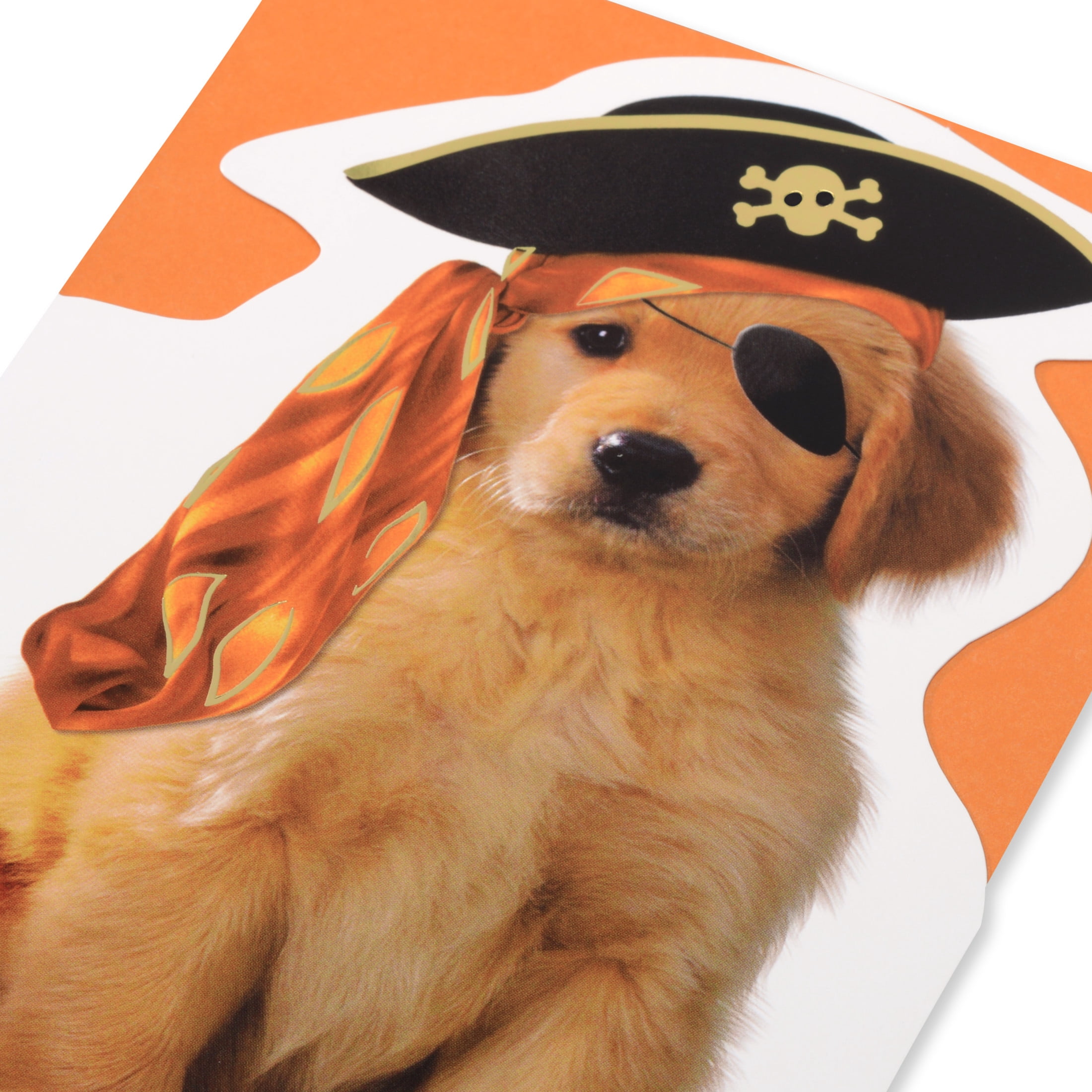 American Greetings Halloween Card for Dog Lovers (Shiver Me Timbers)