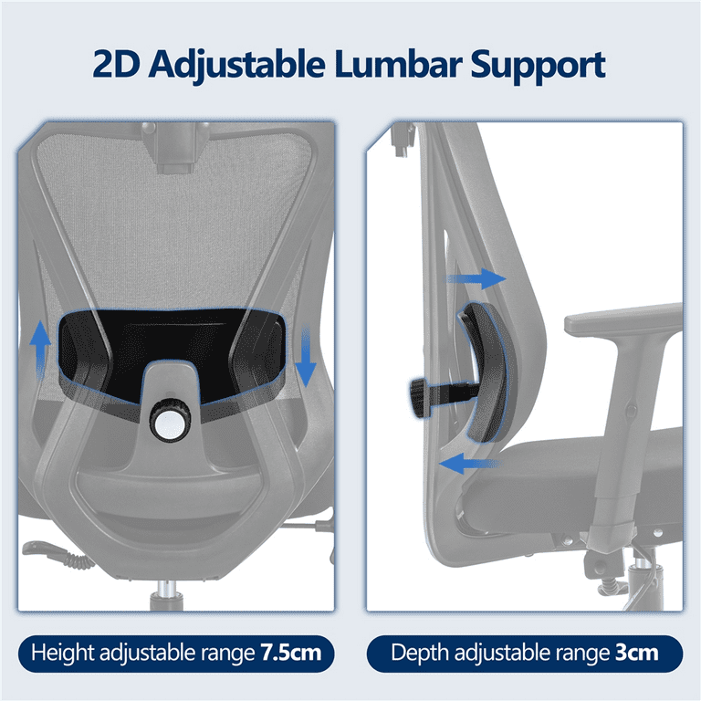 Mesh Chair Elite67: Lumbar Support, Multi-adjustability