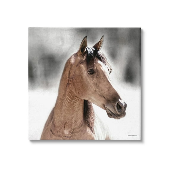 Stupell Industries Brown Foal in Snow Animals & Insects Photography Gallery Wrapped Canvas Art Print Wall Art, 17 x 17