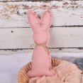 thumbnail image 4 of Coofit Easter Bunny Doll Festive Cute Stuffed Rabbit Decor Basket Ornament for Easter, 4 of 10