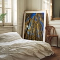 thumbnail image 3 of An Ode to the Aspens - Snowmass Colorado Photography Forest Autumn Nature Woodland Scenic Landscape Mystical Unframed Wall Art Print 24 x 32 inches, 3 of 13