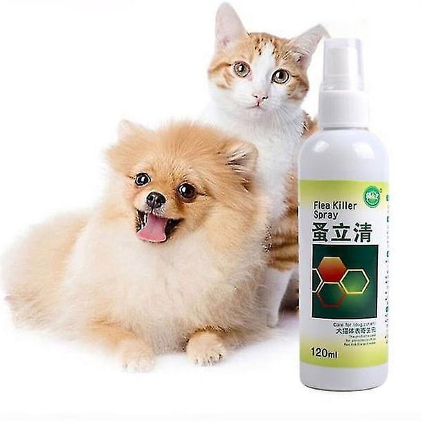120ml Pet Insect Killer Spray Mascotas Perro Gato Antipulgas Gotas Pulgas Piojos Insect Killer Spray Líquido