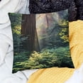 thumbnail image 2 of BANET Throw Pillow Cushion Cover, Morning Sunlight in Wilderness United States Nature, Decorative Rectangle Accent Pillow Case 24x24in, 2 of 5