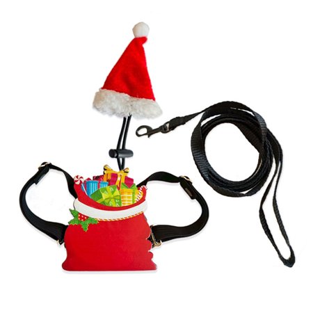 Reptiles Walking Set Comfortable Chest Harnesses And Seasonal Decorative Outfit For Reptiles Pet Outdoor