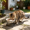 thumbnail image 5 of Raised Ceramic Cat Slow Feeder Bowl with Stand, Elevated Slow Feeder Pet Bowls for Wet and Dry Food, Whisker Friendly Anti-Choke Pet Feeder, for Kitten Small Dog or Cat Use, 1Pcs 5.9x3.9 Inch, 5 of 5