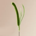thumbnail image 4 of Interactive Teaser Toy Wand with Furry Faux Grass for Indoor Play Setaria Grass Teaser Toy Wand, 4 of 9