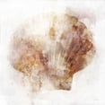 thumbnail image 3 of Roko, Ken 12x12 Black Modern Framed Museum Art Print Titled - Coastal Mist Scallop, 3 of 5