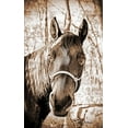 thumbnail image 2 of Putman, Tammy 13x18 Gold Ornate Wood Framed with Double Matting Museum Art Print Titled - Vintage Horse I, 2 of 4