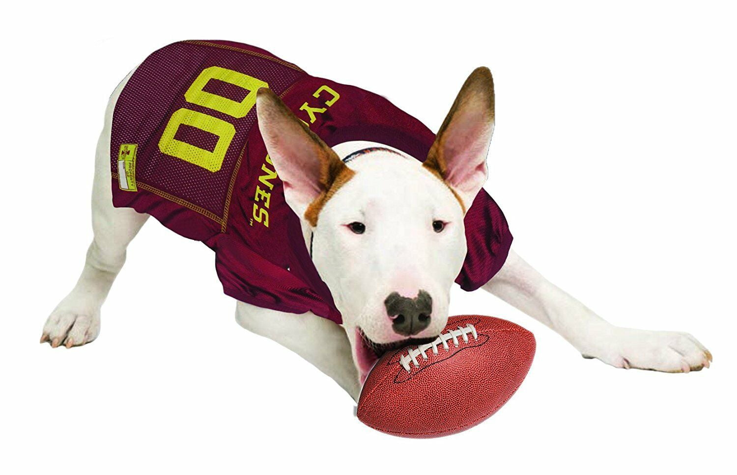 Pets First Collegiate Iowa State Cyclones Football/Basketball Mesh Jersey for Pet Dog. available in 40+ Teams - Medium