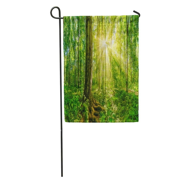 NUDECOR Green Tree Forest Golden Sun Rays Beautiful Wood Beams Beauty Garden Flag Decorative Flag House Banner 28x40 inch