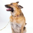 thumbnail image 3 of Country Brook Petz® Native Arizona Martingale Dog Collar and Leash, Medium, 3 of 7