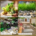 thumbnail image 7 of NOGIS 0.77 lbs Pebbles for Indoor Plants, Succulent Rocks,6-9mm Polished Pebbles for Bamboo, Vase, Terrarium, Natural Decorative Small River Rocks for Crafts, Cactus, Outdoor Garden Landscaping, 7 of 7
